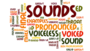 Phonology Course